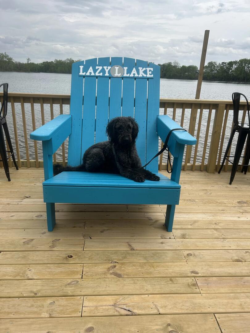 Panoramic lake view from the RV rental area