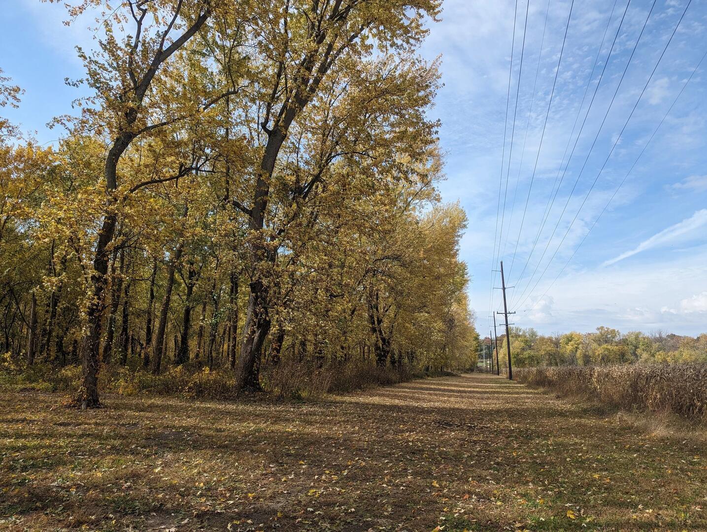 Recreation area and outdoor activities at Lazy L Lake